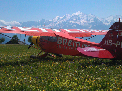 Image - 1053001_145868888947164_1752998748_o.jpg