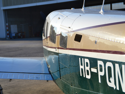 Image - DSC_9925.JPG
